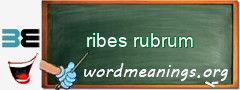 WordMeaning blackboard for ribes rubrum
